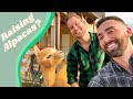 Raising Alpacas? | Dustin and Burton | Raising Buffaloes