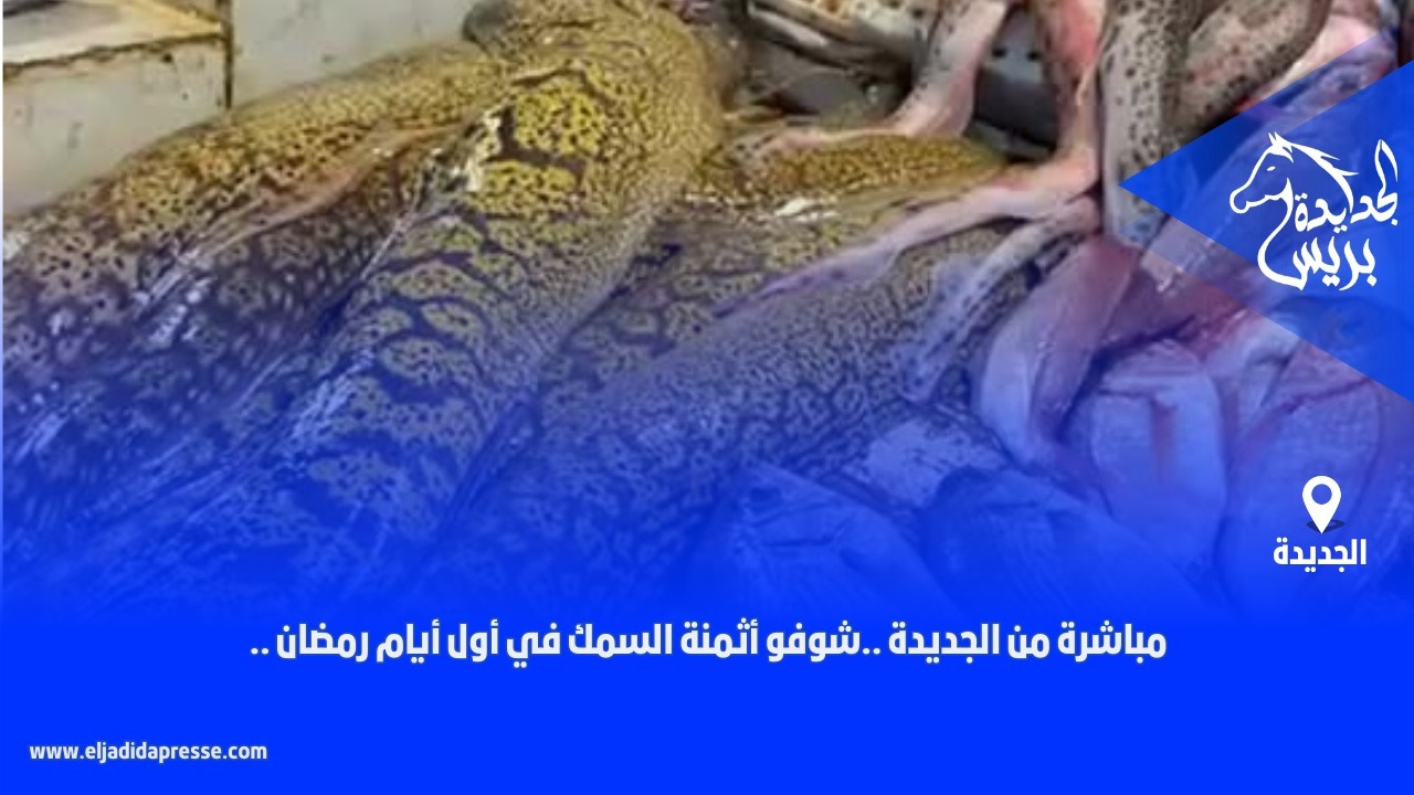 🛑مباشرة من الجديدة ..شوفو أثمنة السمك في أول أيام رمضان ..