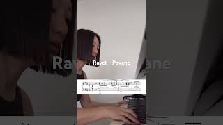 #ravel #pavane #piano #pianomusic #classicalmusic #pianotutorial #pianocover #pianosolo #classical
