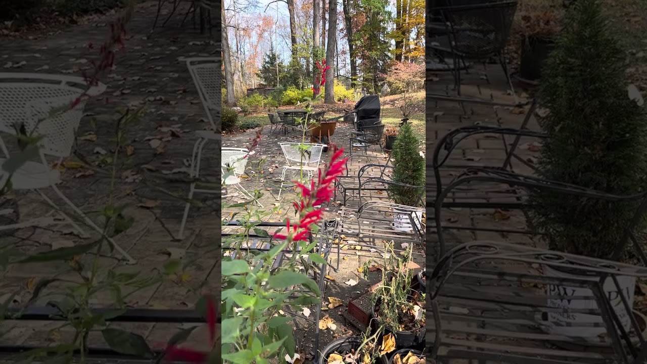 Saint Winnoc of Wormhoult