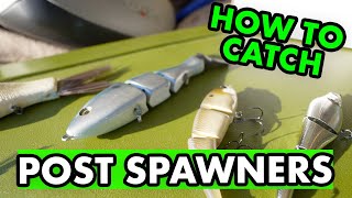 How to Catch Post Spawn Fish