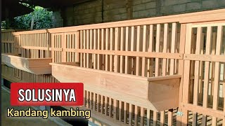 Solusi selalu ada || Hitamputih farm || kandang SNI