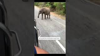 Video Credit Go To Uts Original Owner