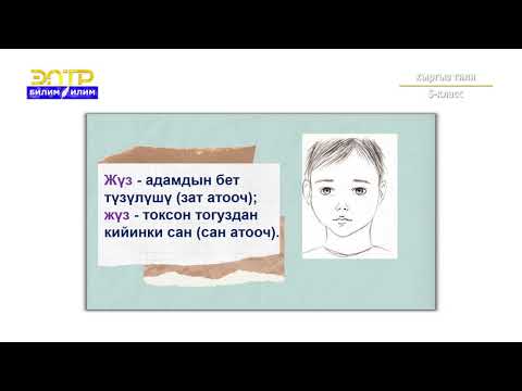 5-класс |  Кыргыз тили | Омонимдер