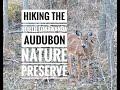 Hiking the North Tonawanda Audubon Nature Preserve, Klydel Wetland Trail