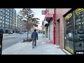 LIVE Walking NYC: Brooklyn to Manhattan on Coldest Day of this season - Jan 29, 2021