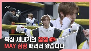 [Wink Arcade 3] WING-DAYCLASS✏ MAY 맘에 잽잽🥊