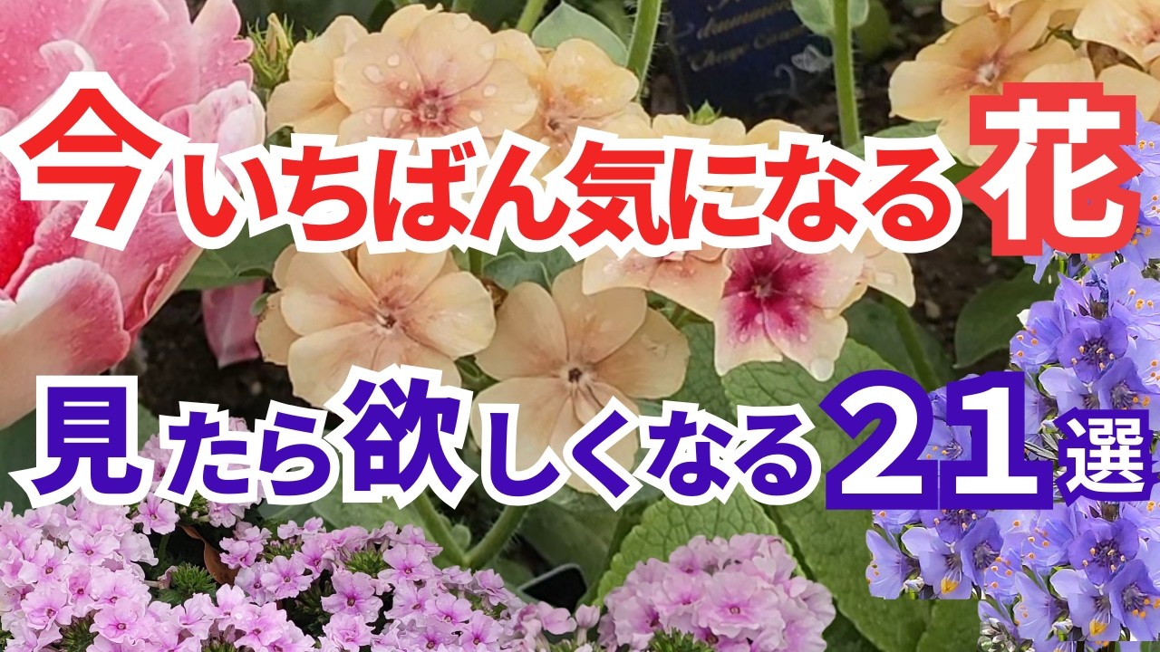Gardening] Discovered at Ashikaga Flower Park on April 9th
