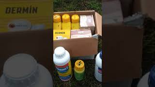 Fındıkta Bahçelerinde Ilk Ilaçlama