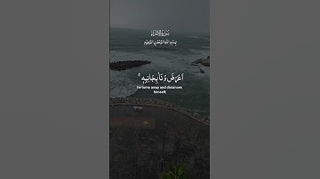 تلاوة خاشعة لآيات من كتاب الله #القرآن_الكريم #القرآن #المصحف #اكسبلور #foryou #راحة_نفسية #viral