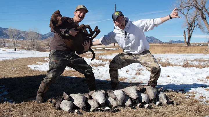 Front Range Goose Hunting (Colorado 2022)