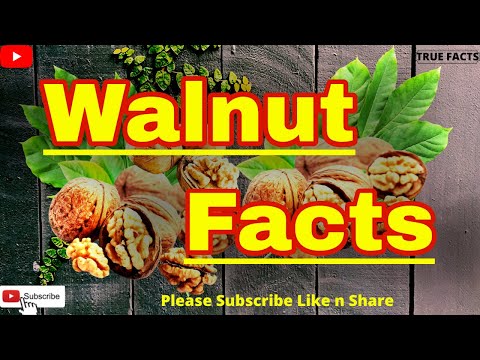 Video: Sifat Walnut Yang Berguna