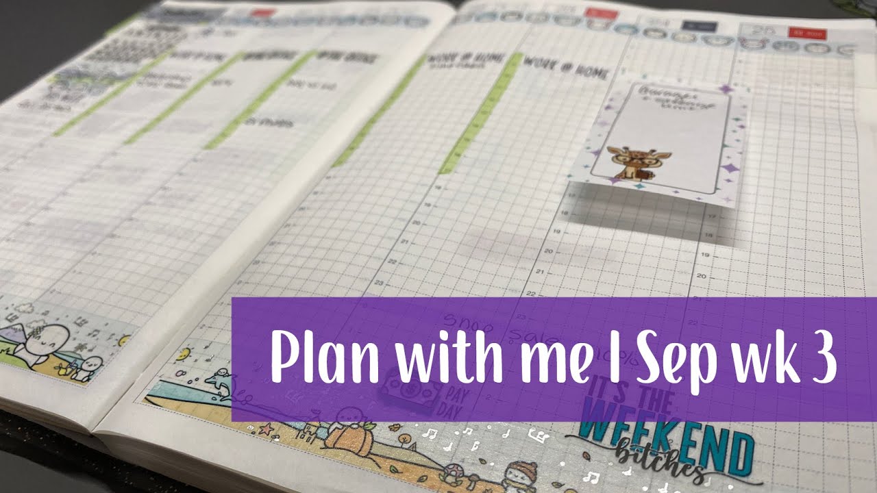 Plan with me | Hobonichi Cousin | A6 Stalogy | Planner chaos chat - YouTube