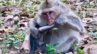 Oh No, Look So Hurt Coz Er So Angry Bite Arms Bellina So Bad, Bellina Cry So Loudly Extremely.