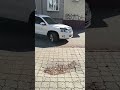 Здесь не тротуар, тротуар где то там.