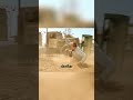 **مطاردة الشاحنة المرعبة**