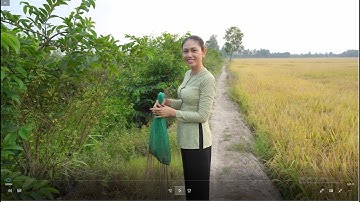 134 / Cắm câu cá lóc về nấu bữa cơm đạm bạc, cá lóc kho bầu