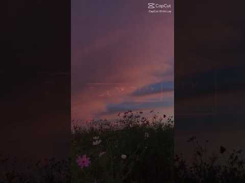 أستخدمو دي أغنية تكفوووون راح يجبلكم دعم إن شاءالله أحبكم أمراتي