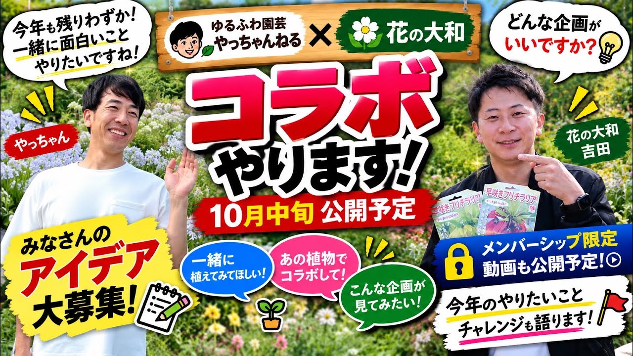 ◆『ゆずにゃんさん専用』ゆるふわ園芸やっちゃんねる YouTube
