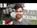 ENCONTRAMOS PLATA MEXICANA 🇲🇽 ¡8 REALES! con detector de metales - Detección Metálica 155