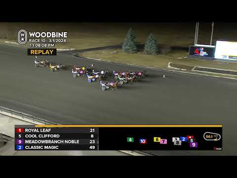 Woodbine Mohawk Park Live Stream - Friday March 01 2024