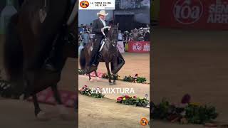 MIXTURA DE LA BETULIA🐴🇨🇴💯🏆 FERIA EQUINA NEIVA GRADO A #horse #equine #fyp #ccc #caballos