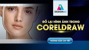 CorelDRAW Cơ Bản: Học Cách Đồ Lại Hình Ảnh Dễ Hiểu Nhất