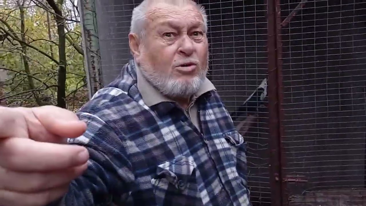 Голуби різних порід - у Христофорова.В.І. ( м Херсон - 2025 р ). 3 - частина 