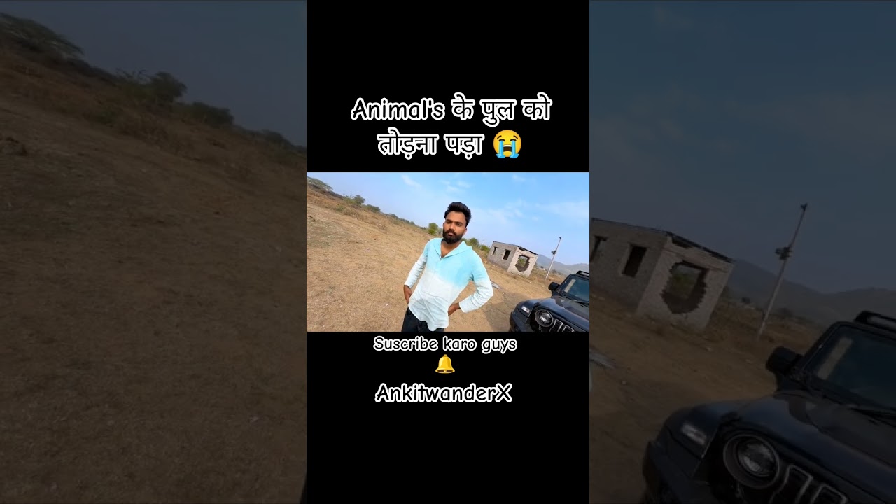 Animal's pool destroy 😭 | Mr Indian hacker | 