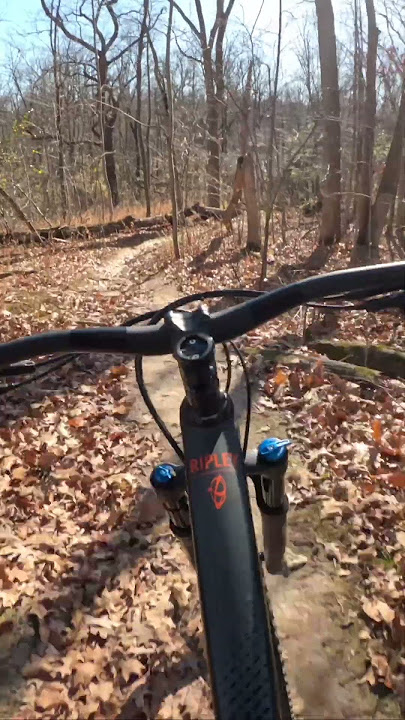 FIRST RIDE! Berd Hawk 30 Carbon Fiber Wheelset with PolyLight Spokes #mtb