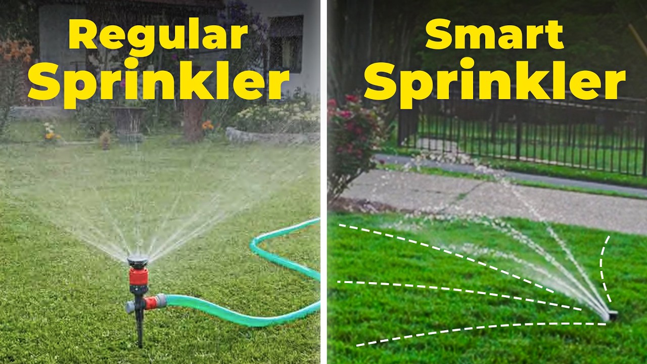 Why I'll Never Waste Time Watering My Lawn Again!