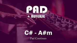 Pad + Reverse em C# (Db) - A#m (Bbm) | 30 Minutos |