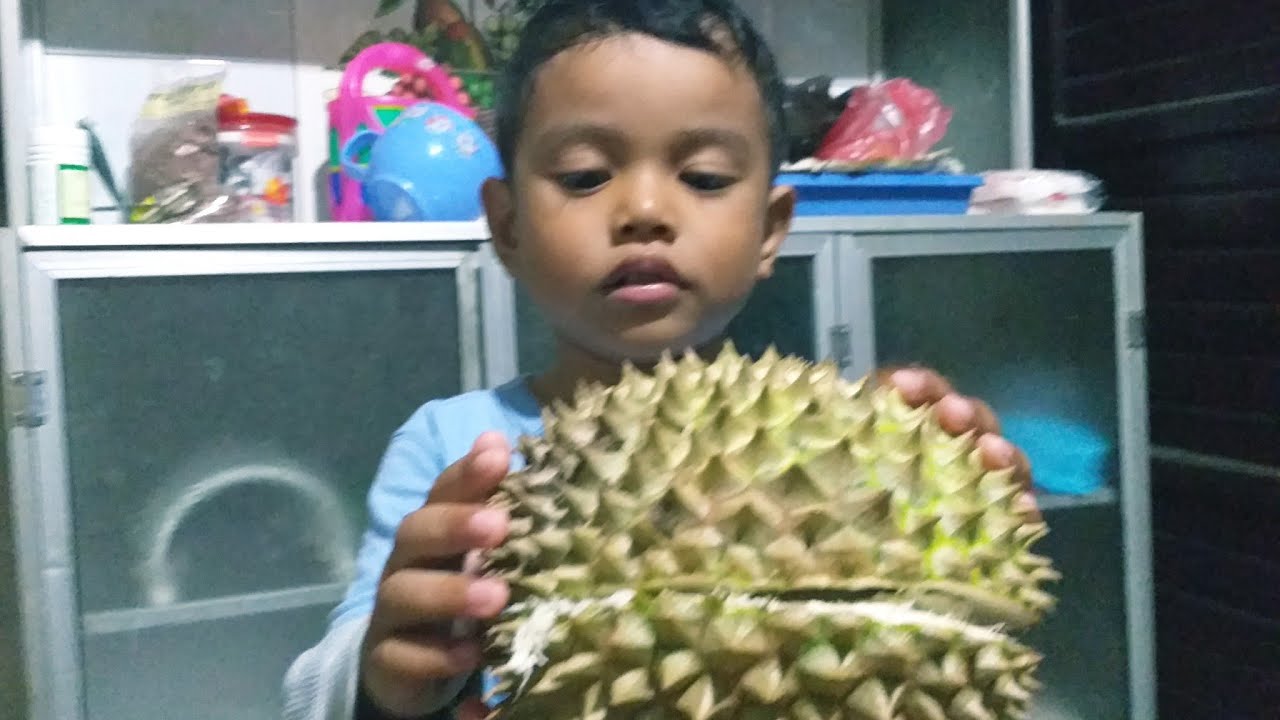 Zefa Lucu Cicak Dan Tokek Makan Durian Youtube