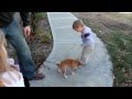 WE GET A NEW DOG!  GIDEON'S FIRST VIDEO - SHIBA INU