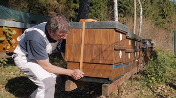 Smart Beehive GSM scale FILIP-PG