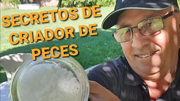 ¿Es buena la sal para los peces koi?