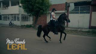 Maria Fernanda Leal /montando el caballo / Tormento