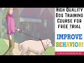 how to keep a dog in an apartment that not allow dogs inside how to keep a dog in an apartment that not allow dogs inside