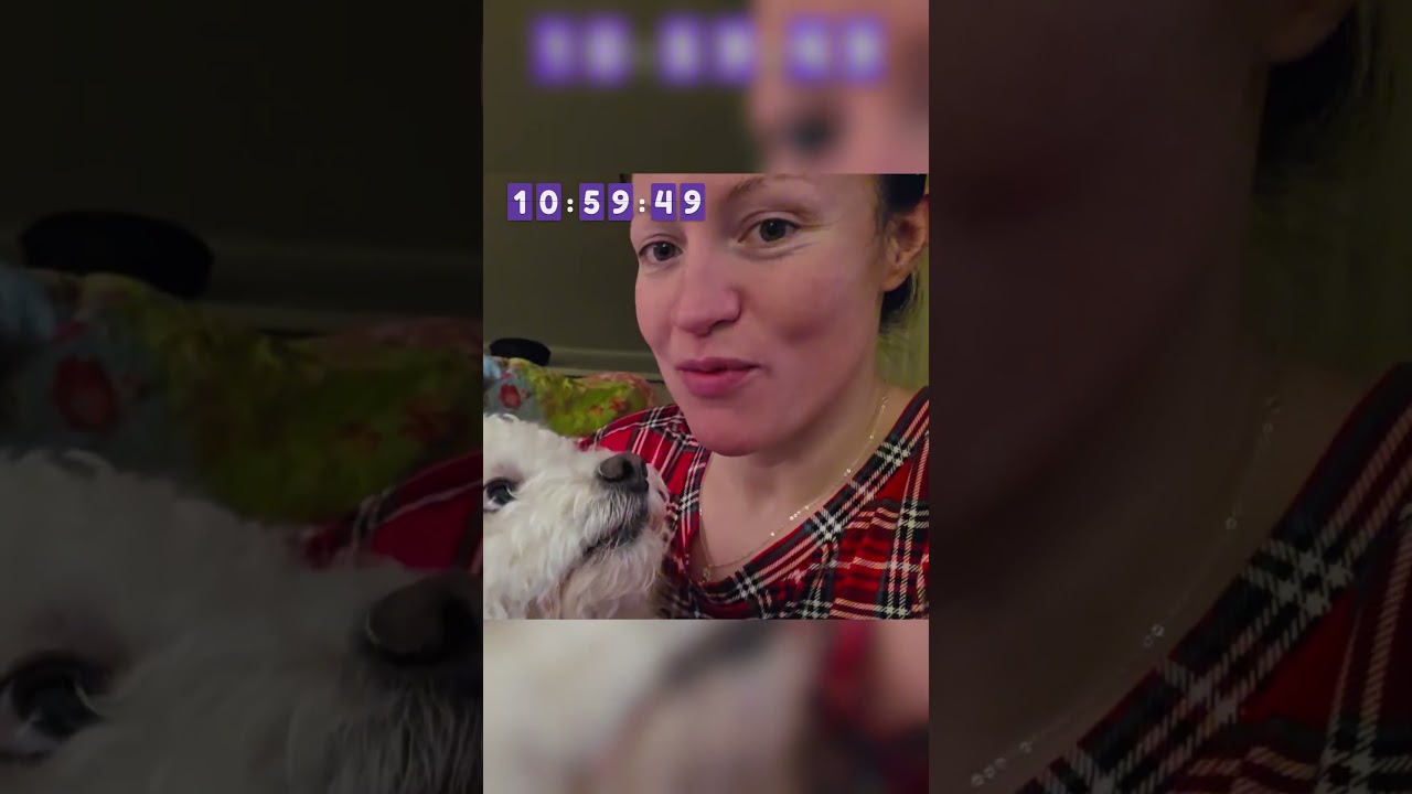 booped you back biiiiiiiatch | #kozybean on #Twitch #justchatting #boop #dog #nose #shorts