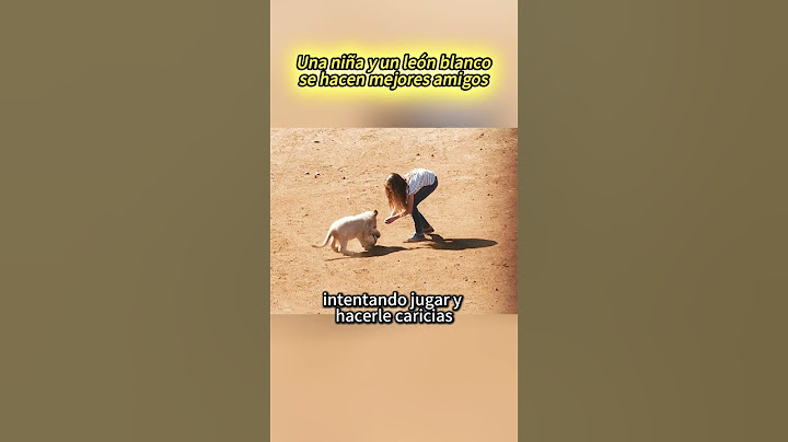 Una niña y un león blanco se hacen mejores amigos.#shorts