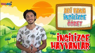 İngilizce Hayvanlar - Hayvanları Öğreniyorum - Çocuklar İçin Basit Kolay İngilizce Öğretim Videosu