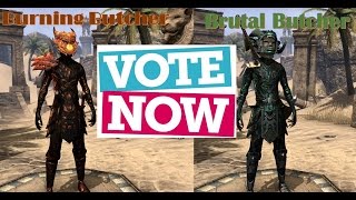 Cast Your Vote for My Next Build - Burning Butcher vs Brutal Butcher
