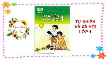 Bài 2: Ngôi nhà của em (T1) TNXH lớp 1 - Kết nối tri thức với cuộc sống 🌻