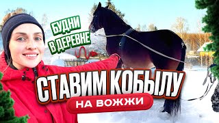 ДЕРЕВЕНСКАЯ жизнь | Ставим КОБЫЛУ на вожжи