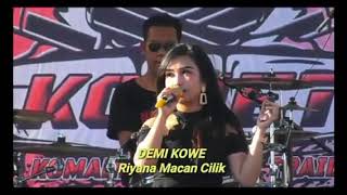 Download Lagu Demi kowe riana macan cilik MP3