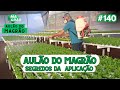 COMO APLICAR FERTILIZANTES E DEFENSIVOS AGRÍCOLAS - AULÃO DO MAGRÃO - MAGRÃO VIDEOCAST #140