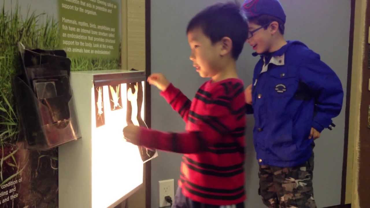 Toddler XRay Examination YouTube