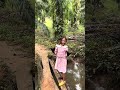 Cari Brondol sawit di kebun #viralvideo #shot #fypshort