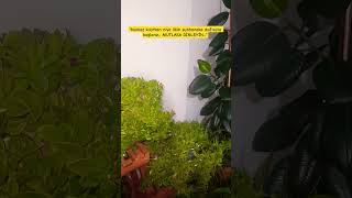 Namaz Kilarken Ni̇ye İlki̇n Subhaneke Duâsiyla Başlariz..