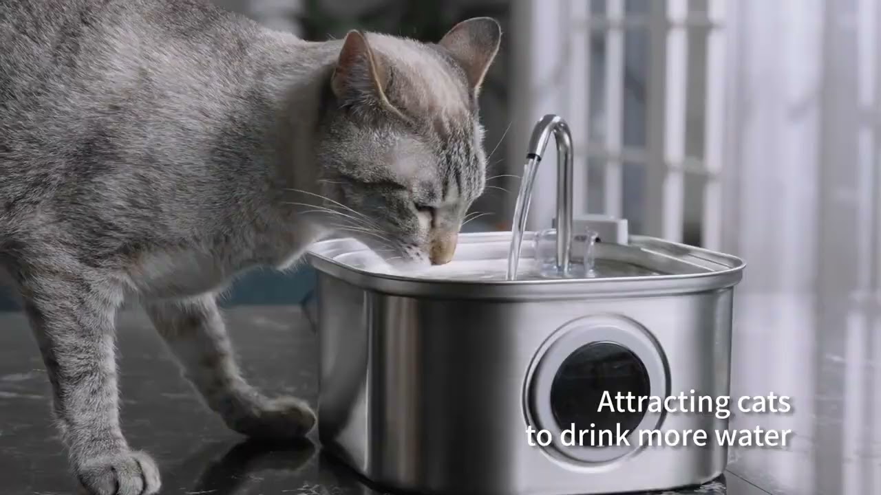3.2L Stainless Steel Pet Water Feeder Auto Cat Fountain Smart Dog
